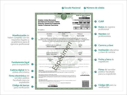 ¡La cédula profesional ya es 100 por ciento en línea en todo el País!