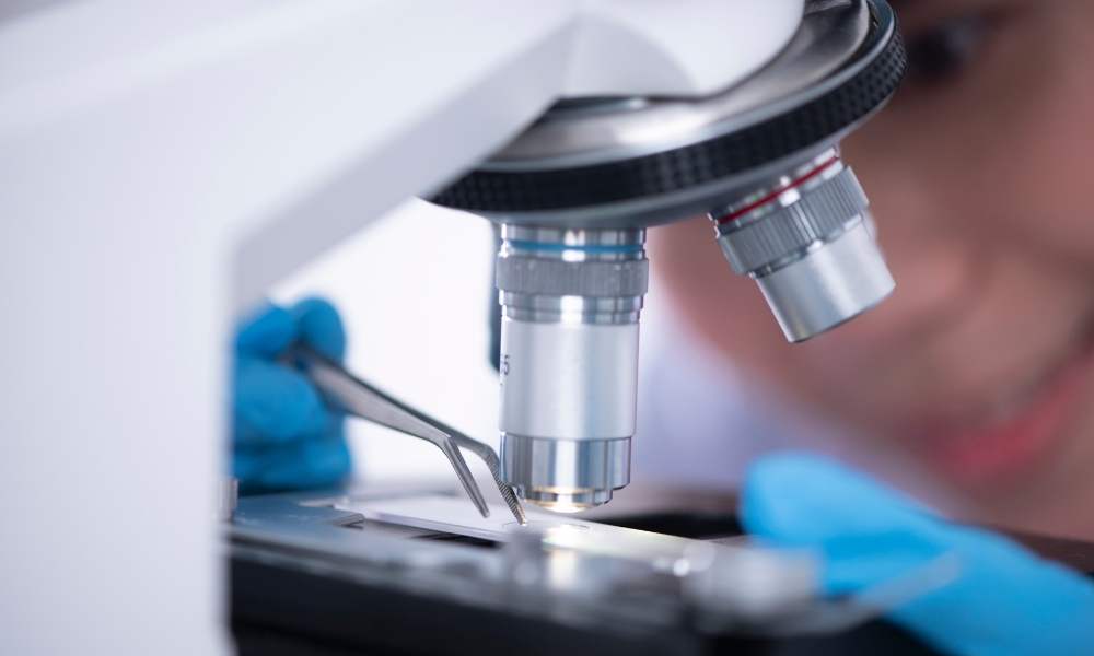La UNESCO Montevideo y la UNAM anuncian la publicación del Manual de Educación en Bioética