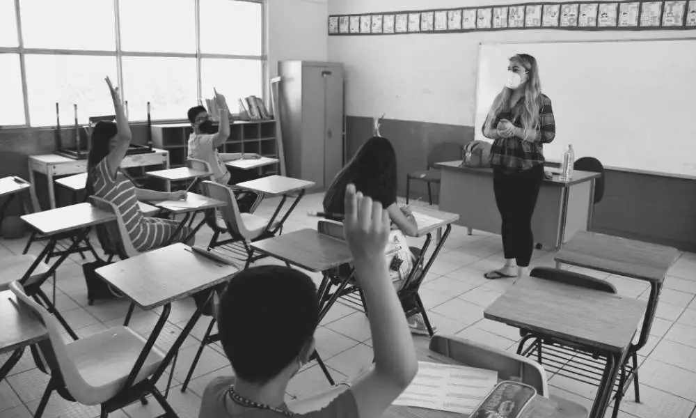 La SEP ensimismada y un plan de estudios que no avanza