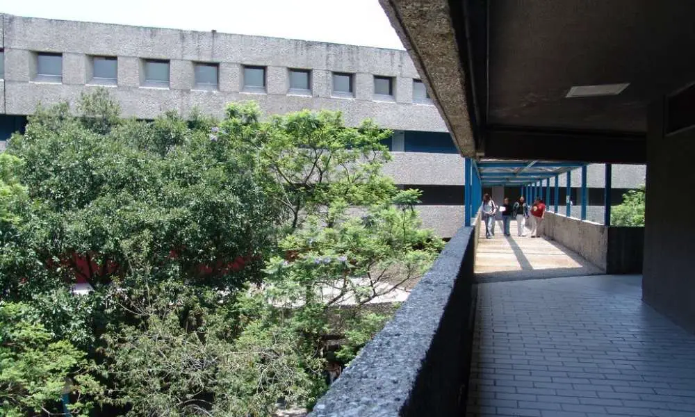 Publica UPN convocatoria para seis licenciaturas en unidades de la CDMX: SEP