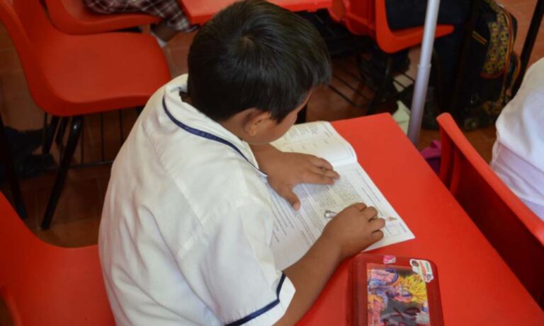 Alumno estudiando