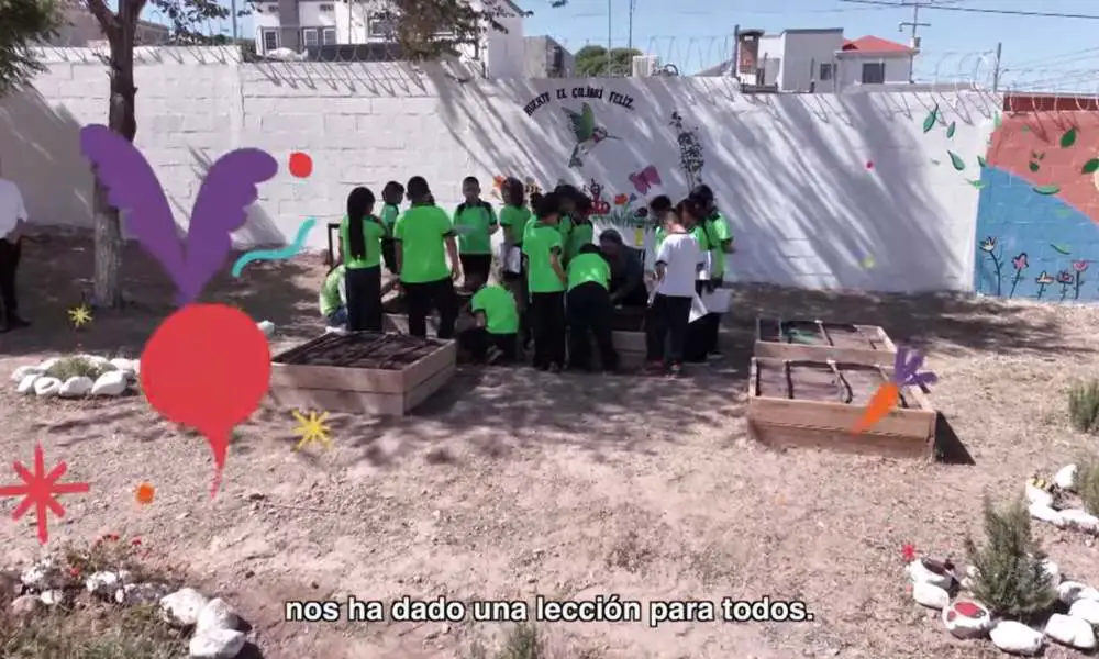 CTE mayo de 2024: Video ‘Educación Primaria. Sembrar aprendizaje’