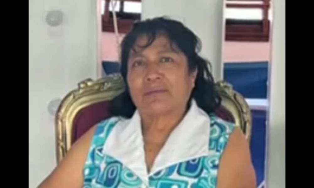 maestra taxista veracruzana